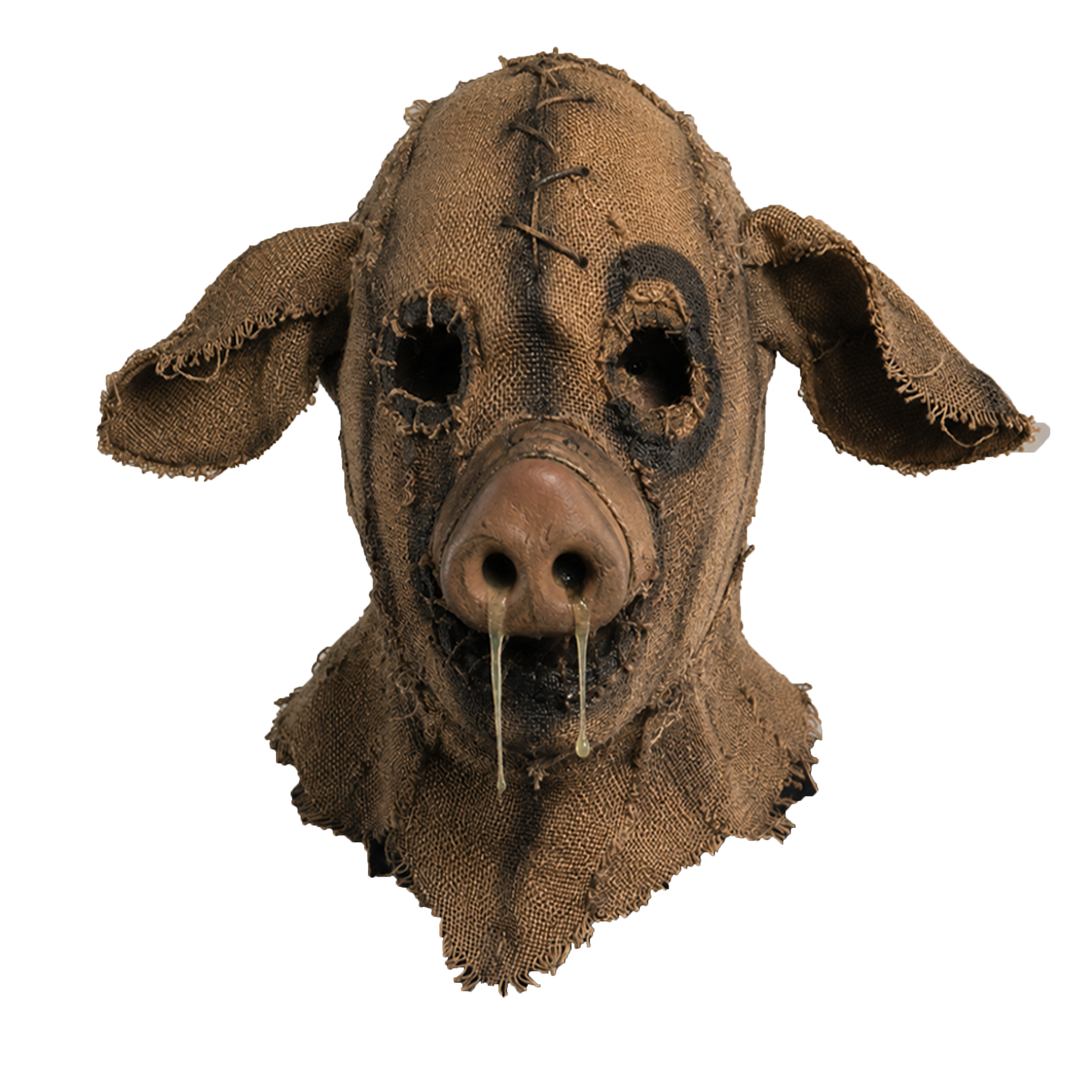 Pig Snout Junko x 33k